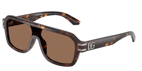 Dolce&Gabbana 4507 502/73 27 Erkek Güneş Gözlüğü
