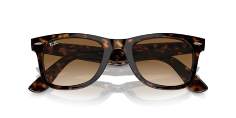 Rayban 0RB2140 902/51 50 