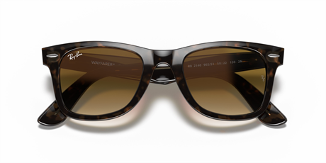 Rayban 0RB2140 902/51 50 