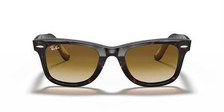 Rayban 0RB2140 902/51 50 