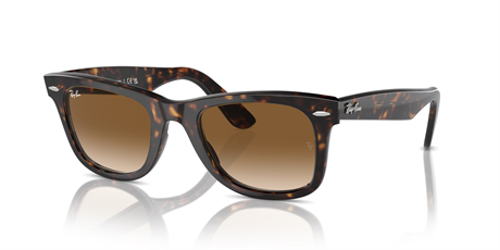 Rayban 0RB2140 902/51 50 