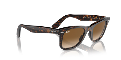 Rayban 0RB2140 902/51 50 