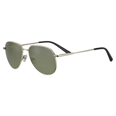 HAYWOOD SS543003 56 Erkek Güneş Gözlüğü