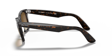 Rayban 0RB2140 902/51 50 