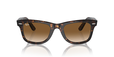 Rayban 0RB2140 902/51 50 