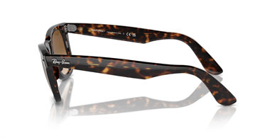 Rayban 0RB2140 902/51 50 