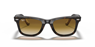 Rayban 0RB2140 902/51 50 