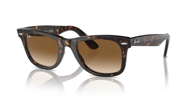 Rayban 0RB2140 902/51 50 