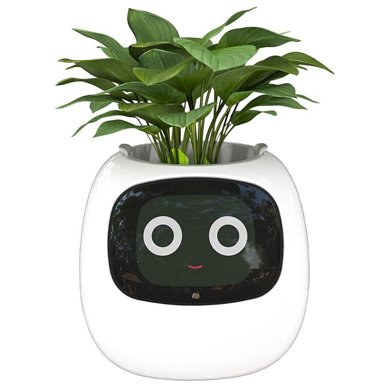 Masdio Ivy AI Yapay Zeka Destekli Akıllı Saksı
