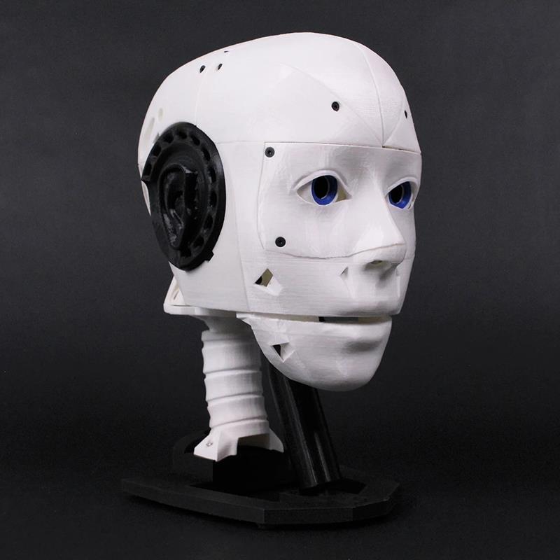 EZ-InMoov Gelişmiş Robotik Kafa Kiti