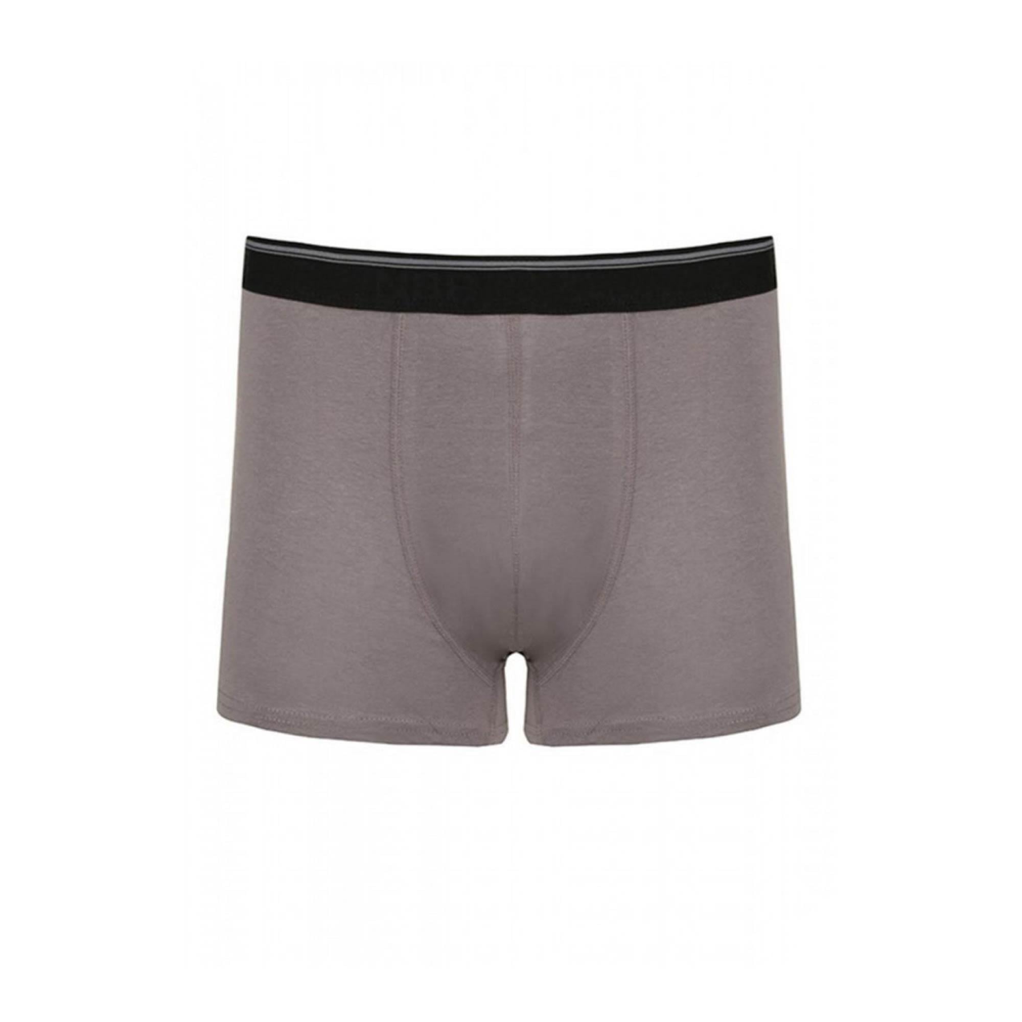 NBB Erkek Boxer Gri Medium 735