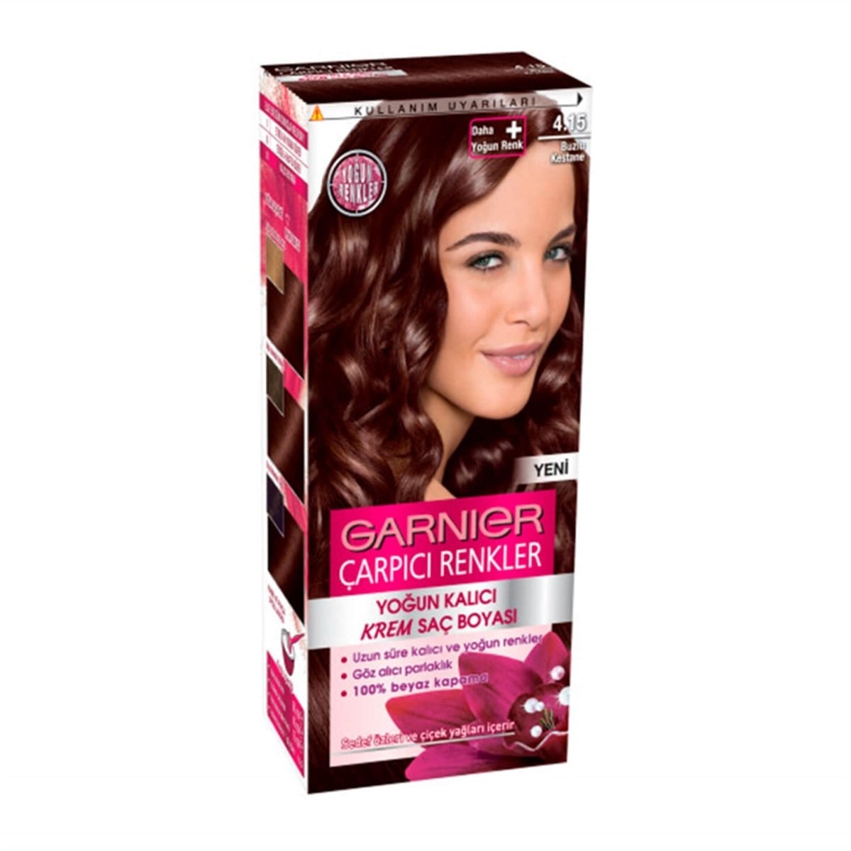 Garnier Çarpıcı Renkler 4.15 Buzlu Kestane