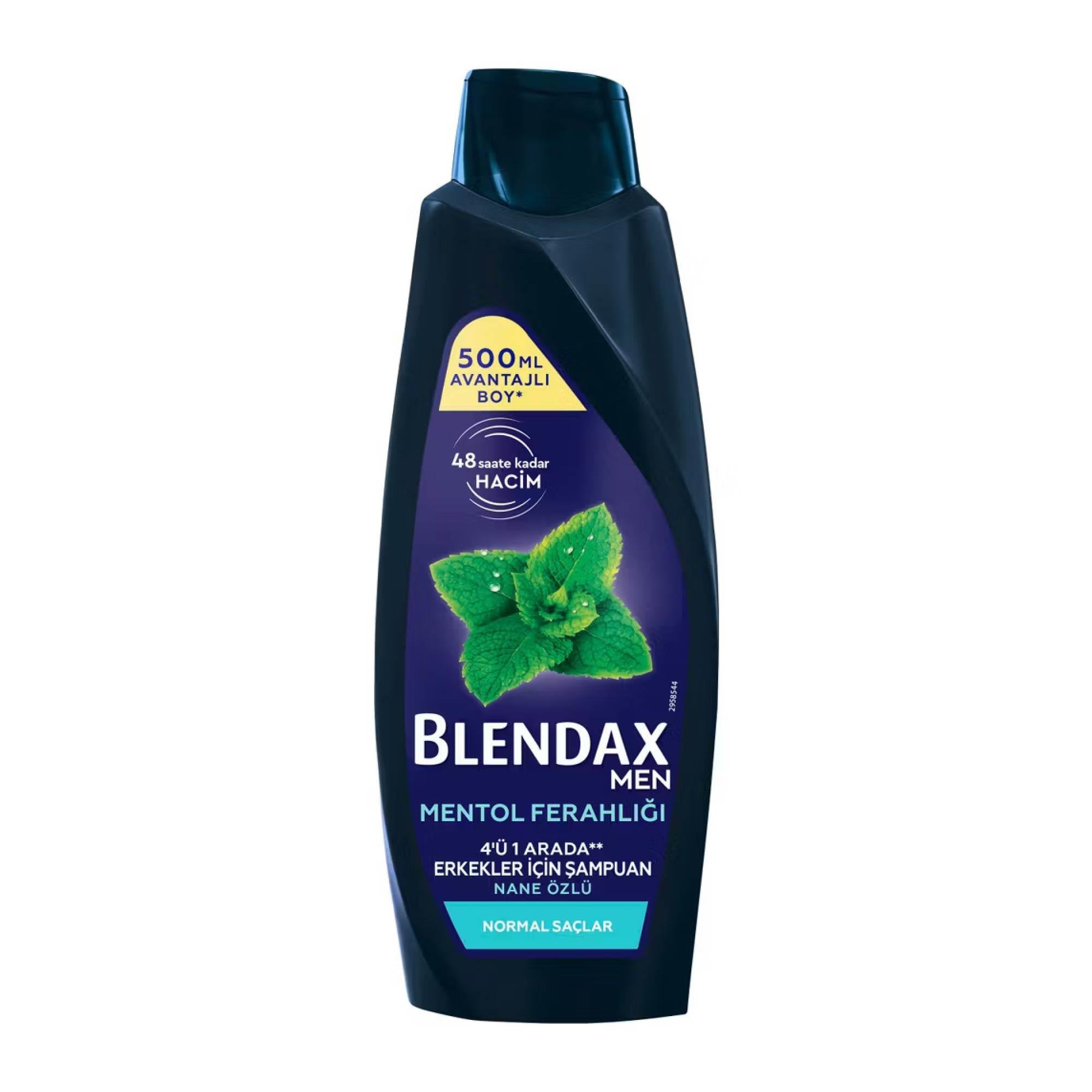 Blendax Men Şampuan Mentol Ferahlığı 4ü1 Arada Nane Özlü 500 ml