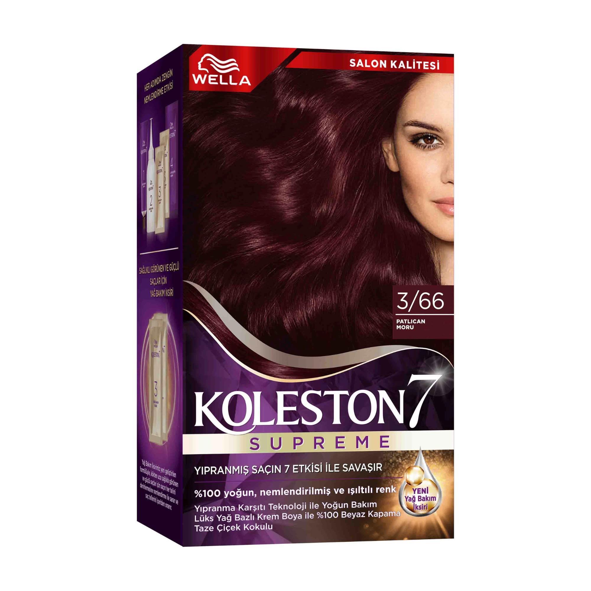 Koleston Set Boya Patlıcan Moru 3/66