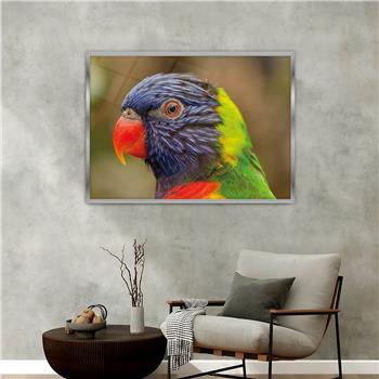 Aluminum-Framed Art-Themed Tempered Glass Wall Art 101