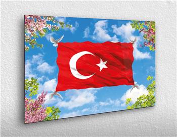 Yatay Vatan Temalı Cam Tablo64