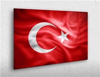 VATAN TEMALI TABLOLAR