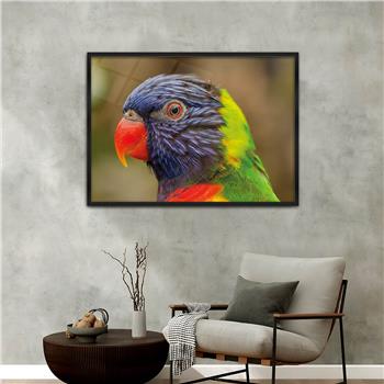 Aluminum-Framed Art-Themed Tempered Glass Wall Art 101