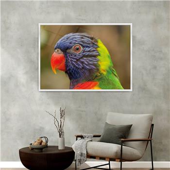 Aluminum-Framed Art-Themed Tempered Glass Wall Art 101