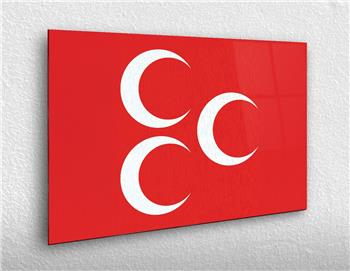 VATAN TEMALI TABLOLAR
