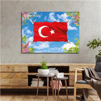 Yatay Vatan Temalı Cam Tablo64