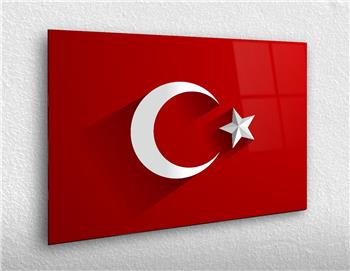 VATAN TEMALI TABLOLAR