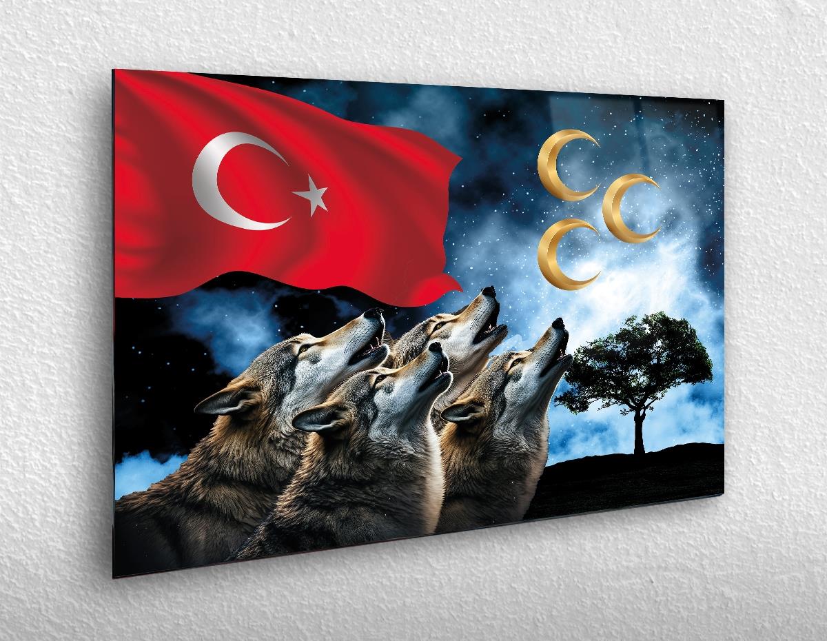Yatay Vatan Temalı Cam Tablo 37