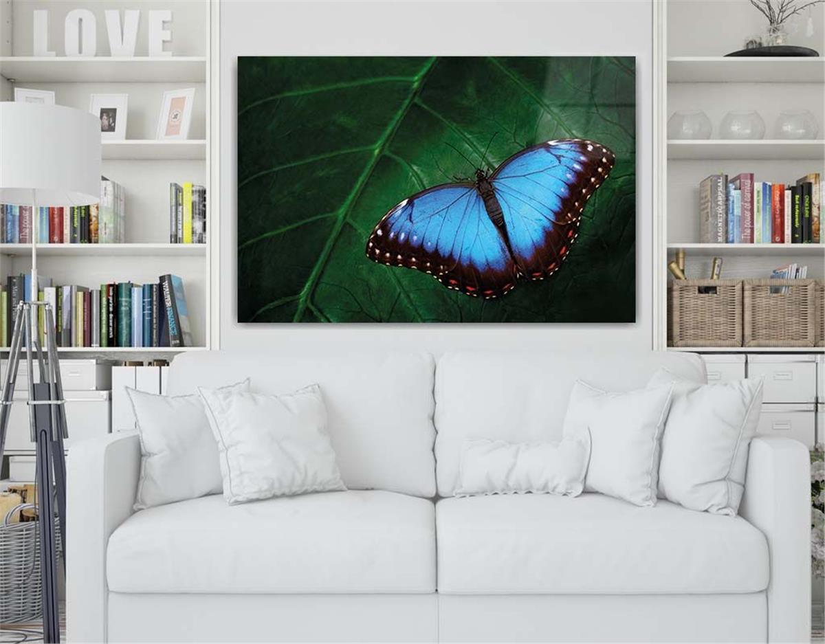 Thema Natur auf bedrucktem Glas