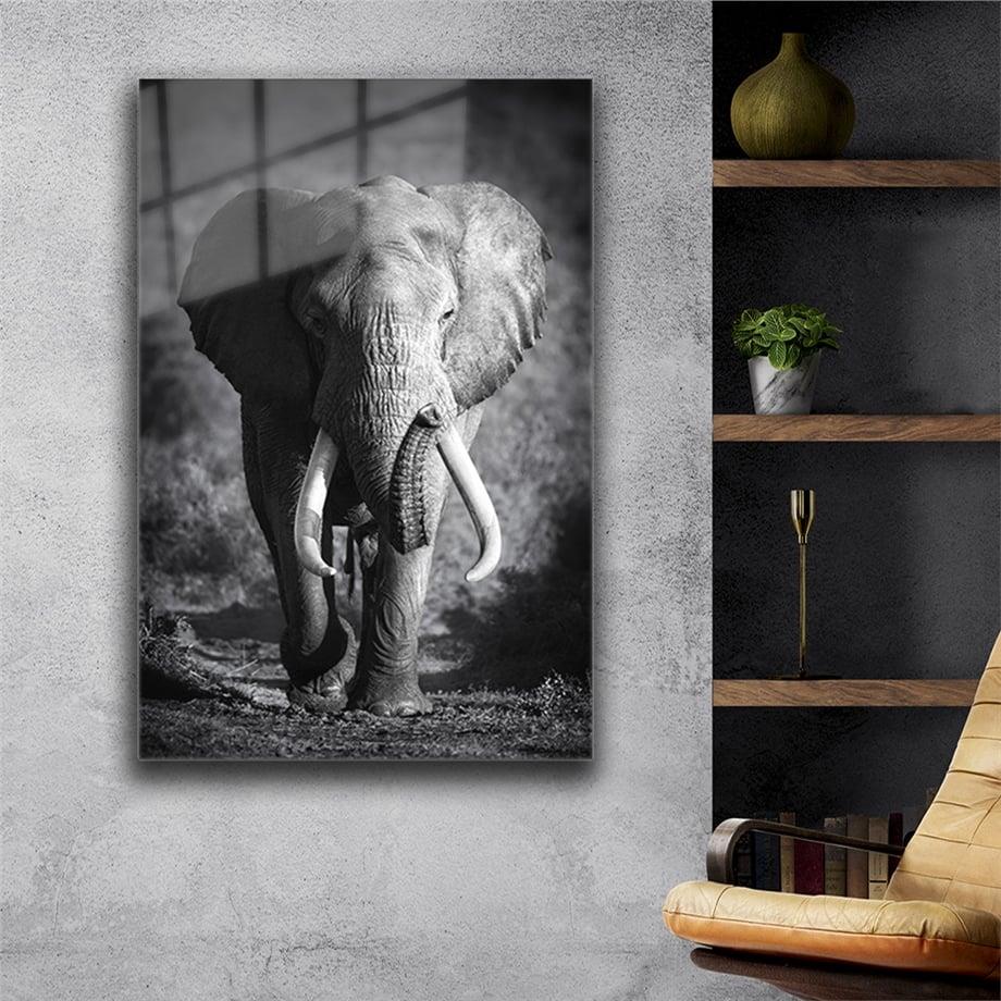 Haftanın İndirimli Ürünü Dikey Cam Tablo 60x90 cm