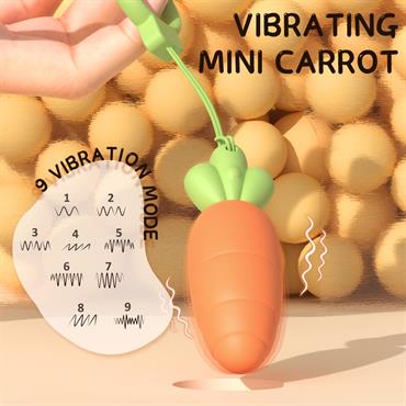 S-Hande Carrots Mini Vibratör