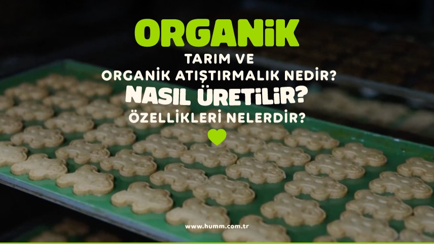 Organik Tarım ve Atıştırmalık Nedir, Nasıl Üretilir, Özellikleri Nelerdir?