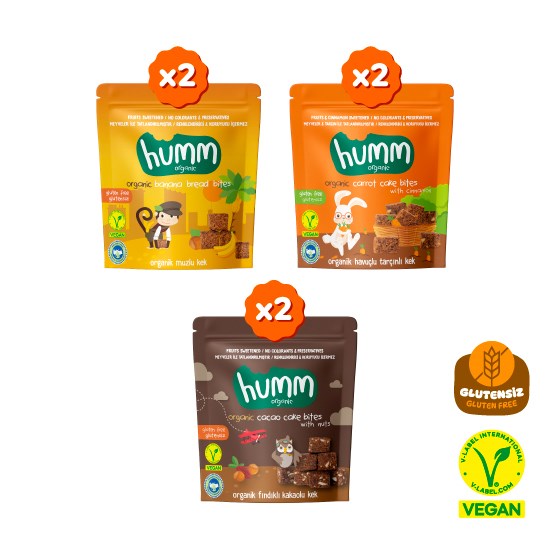 Organik Glutensiz Vegan Kek Atıştırmalık Paketi - 6 adet (3 çeşit)