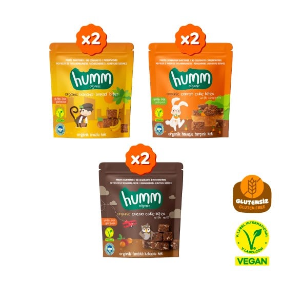 Organik Glutensiz Vegan Kek Atıştırmalık Paketi - 6 adet (3 çeşit)