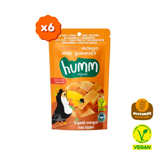 Organik Glutensiz Vegan Mangolu Mini Küpler Atıştırmalık Paketi - 6 adet
