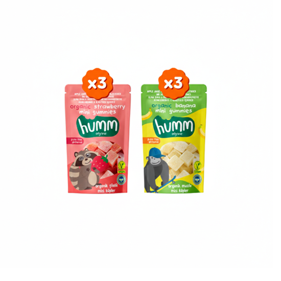 Organik Glutensiz Vegan Mini Küpler Atıştırmalık Paketi - 6 adet (2 çeşit)