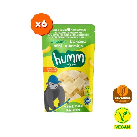 Organik Glutensiz Vegan Muzlu Mini Küpler Atıştırmalık Paketi - 6 adet