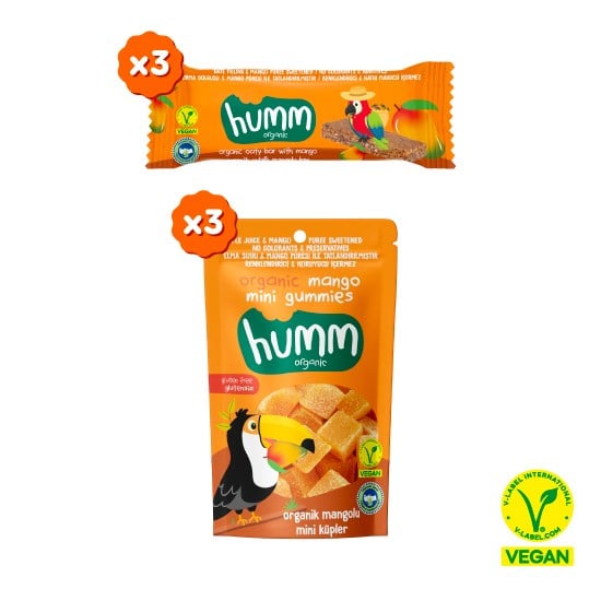 Organik Vegan Mangolu Meyveli Küp & Yulaf Bar Atıştırmalık Paketi - 6 adet (2 çeşit)