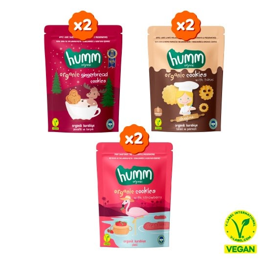 Organik Vegan Zencefilli Tahinli ve Çilekli Tatlı Kurabiyeler Atıştırmalık Paketi - 6 adet (3 çeşit)
