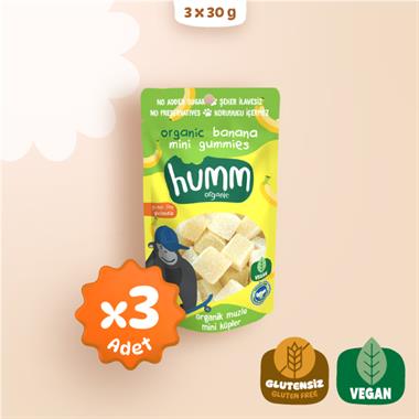 Organik Glutensiz Vegan Muzlu Mini Küpler Atıştırmalık Paketi - 3 adet