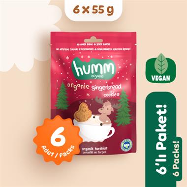 Organik Vegan Zencefilli ve Tarçınlı Kurabiye - 6 adet