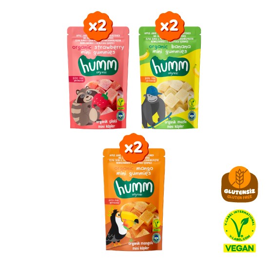 Organic Gluten-Free Vegan Banana, Strawberry & Mango Mini Cubes Snack Pack – 6 Pieces (3 Varieties)