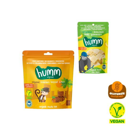 Organic Gluten Free Vegan Banana Snack Pack - 2 Pieces (2 Varieties)