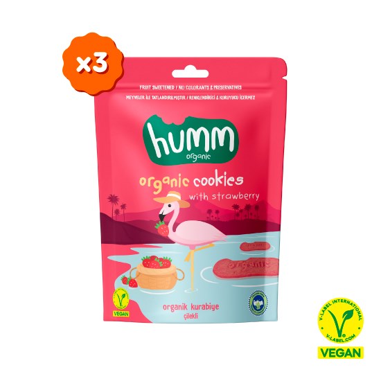 Organik Vegan Çilekli Kurabiye - 3 Adet