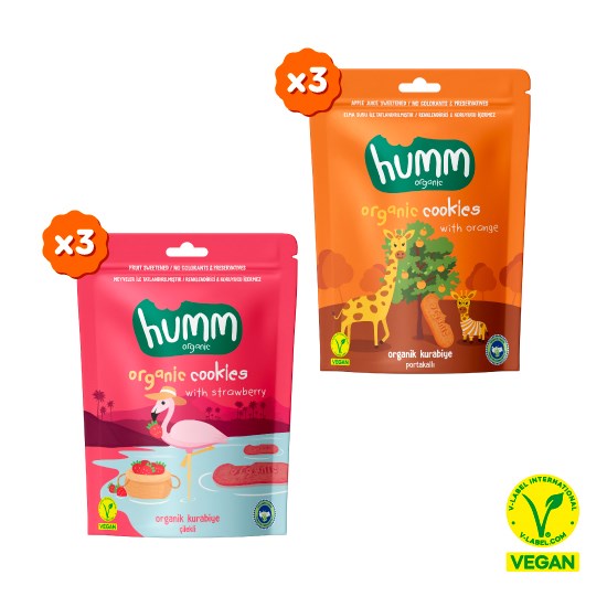 Organic Vegan Strawberry & Orange Cookie Snack Pack – 6 Pieces (2 Varieties)