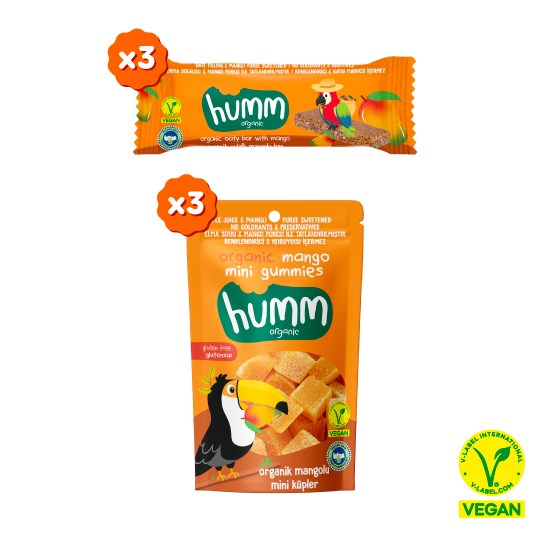Organic Vegan Mango Fruit Cubes & Oat Bar Snack Pack – 6 Pieces (2 Varieties)
