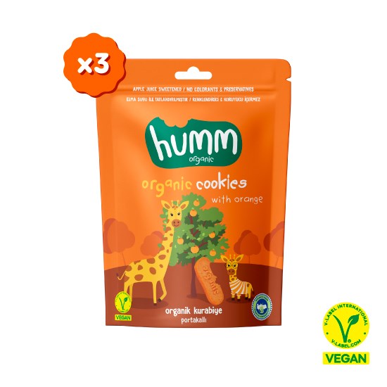 Organik Vegan Portakallı Kurabiye- 3 adet