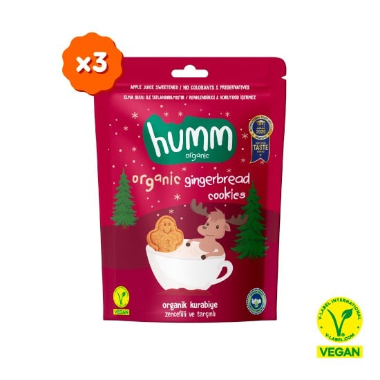 Organik Vegan Zencefilli ve Tarçınlı Kurabiye - 3 adet