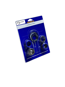 Graco 7900/2030/EH-200/230/300/Mark X Keçe Tamir Takımı (249123)