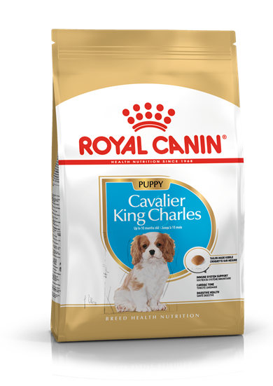 Royal Canin Cavalier King Charles Puppy Yavru Köpek Maması 1.5kg
