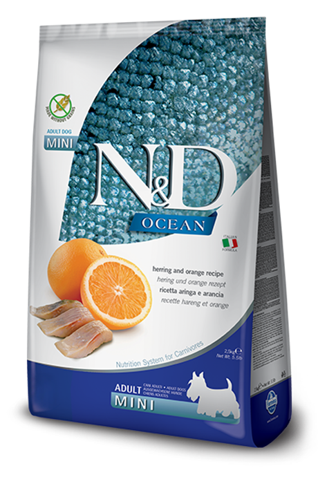 N&D Ocean Ringa Portakal Tahılsız Küçük Irk Yetişkin Köpek Maması 7kg